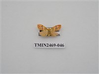 藏品(梯紋豔苔蛾)的圖片